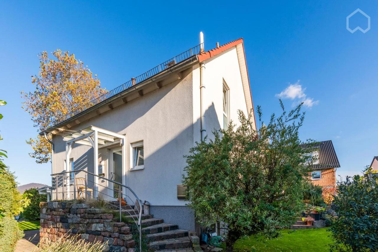 Melibokusblick Apartman Bensheim Kültér fotó